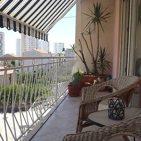 Dalmaticus * ספליט